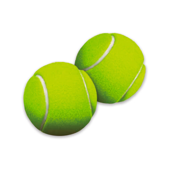 Kit com 2 Bolas de Tênis para Cães